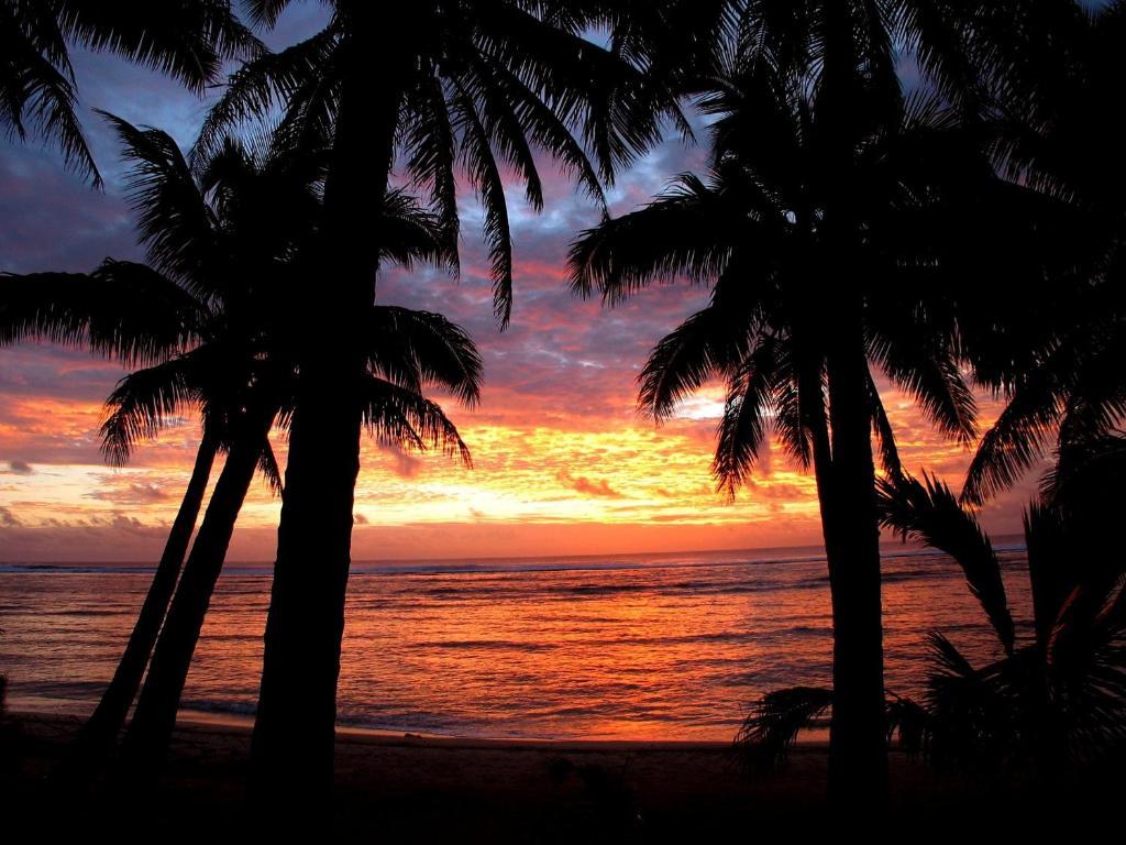 Sunhaven Beach Bungalows (Adults Only) Đảo Đảo Rarotonga Ngoại thất bức ảnh